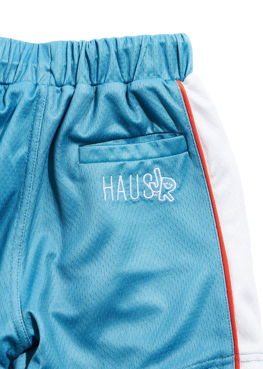 Tune Squad Shorts (Blue) *pre-order Bottoms Haus of JR 