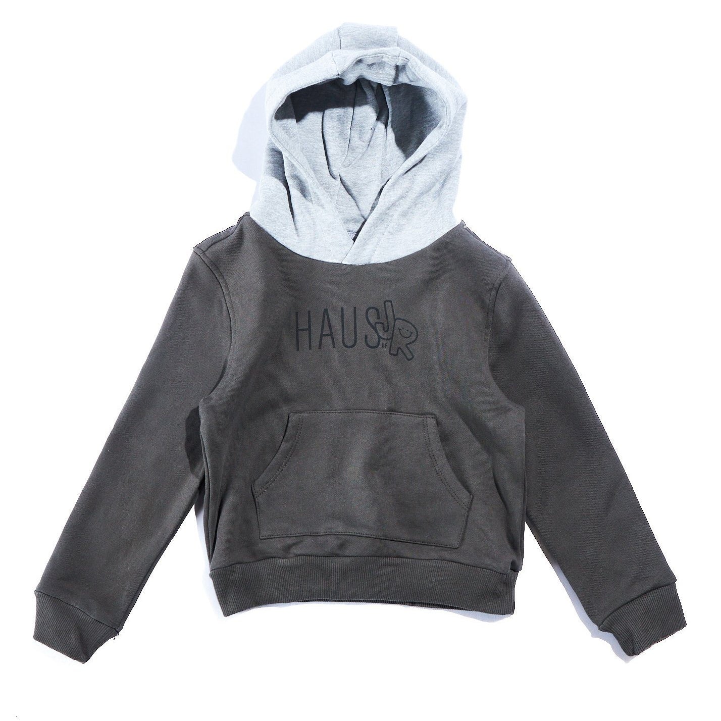 Two Tone Hoodie (Grey) Tops Haus of JR 