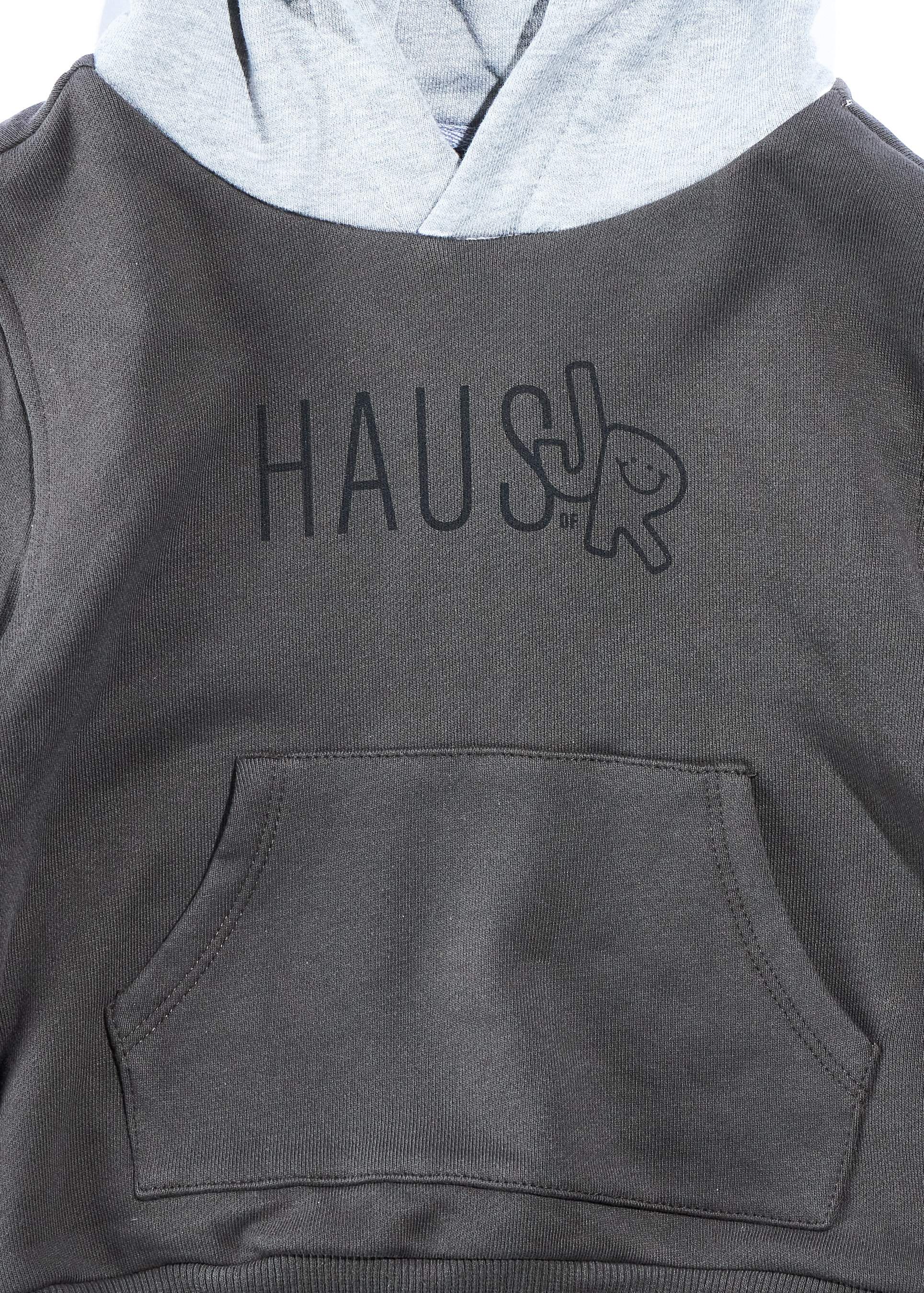 Two Tone Hoodie (Grey) Tops Haus of JR 