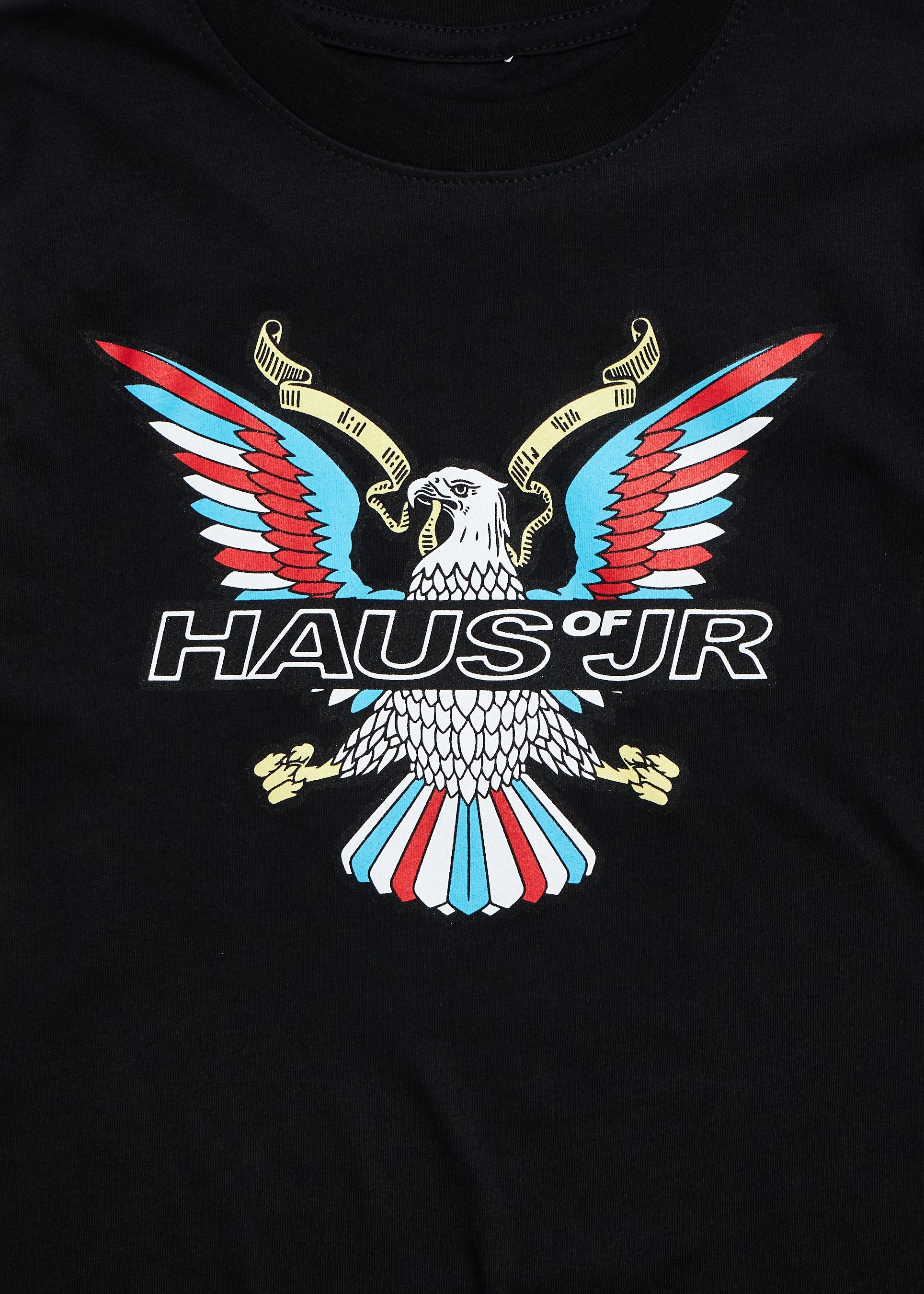 Freedom Tee (Black) Tops Haus of JR 