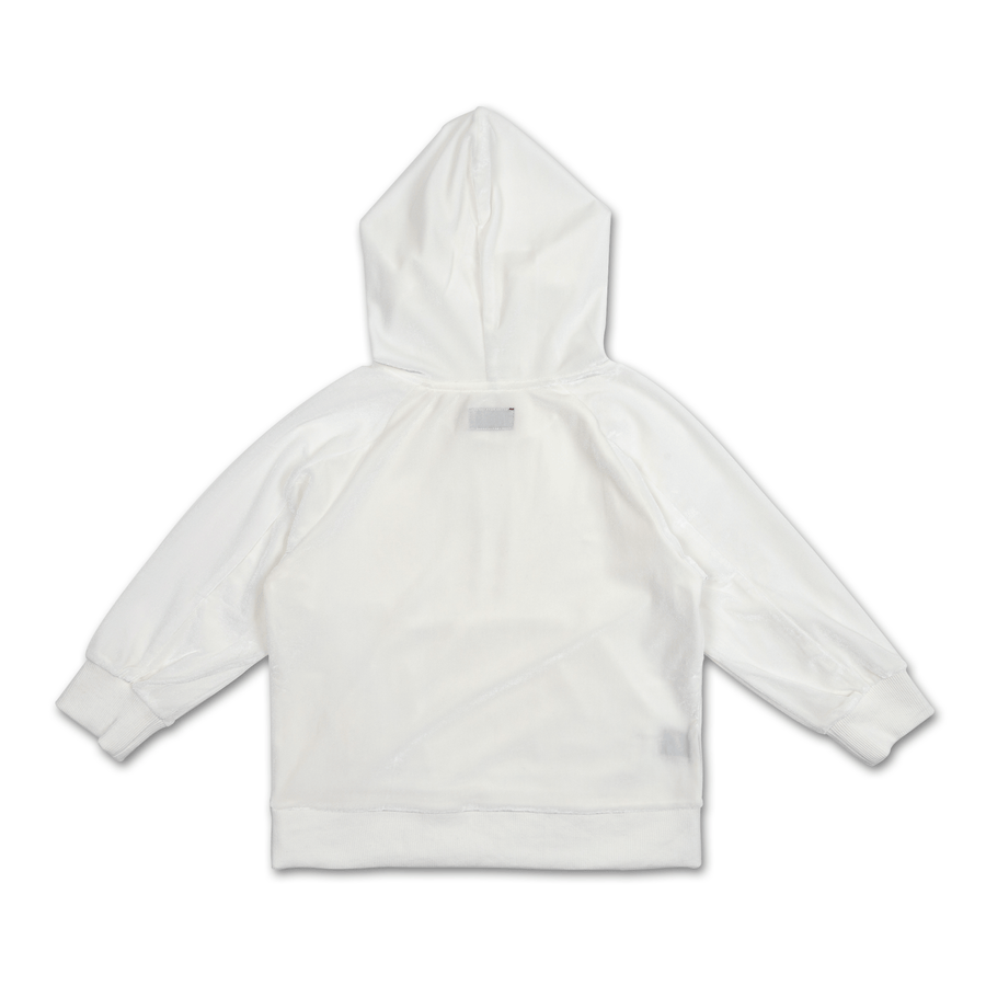 Vlad Velour Hoodie - Haus of JR